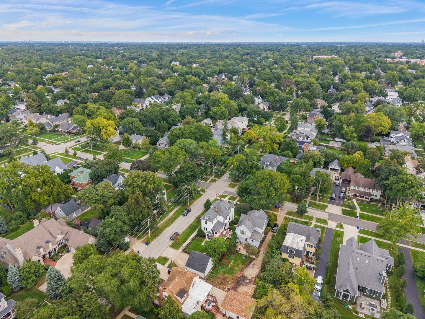 726 N Wheaton Avenue, Wheaton, IL 60187