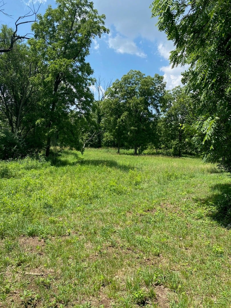 Property photo for New Lenox, IL