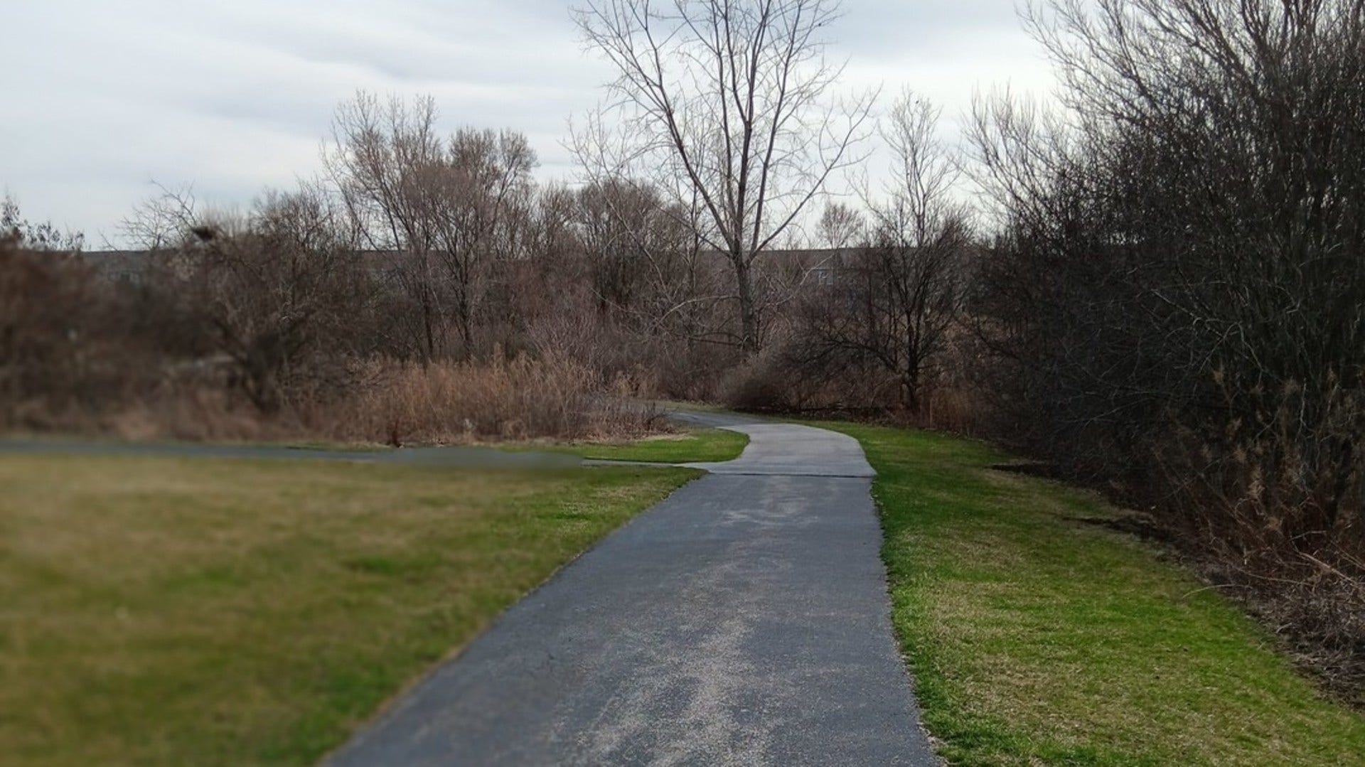 11555 Settlers Pond Way, #1A, Orland Park, IL 60467 11555 Settlers Pond Way, #1A, Orland Park, IL 60467