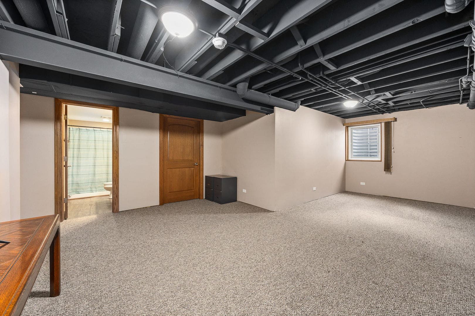 311 W Frontier Drive, Minooka, IL 60447 Recreation room in finished basement.