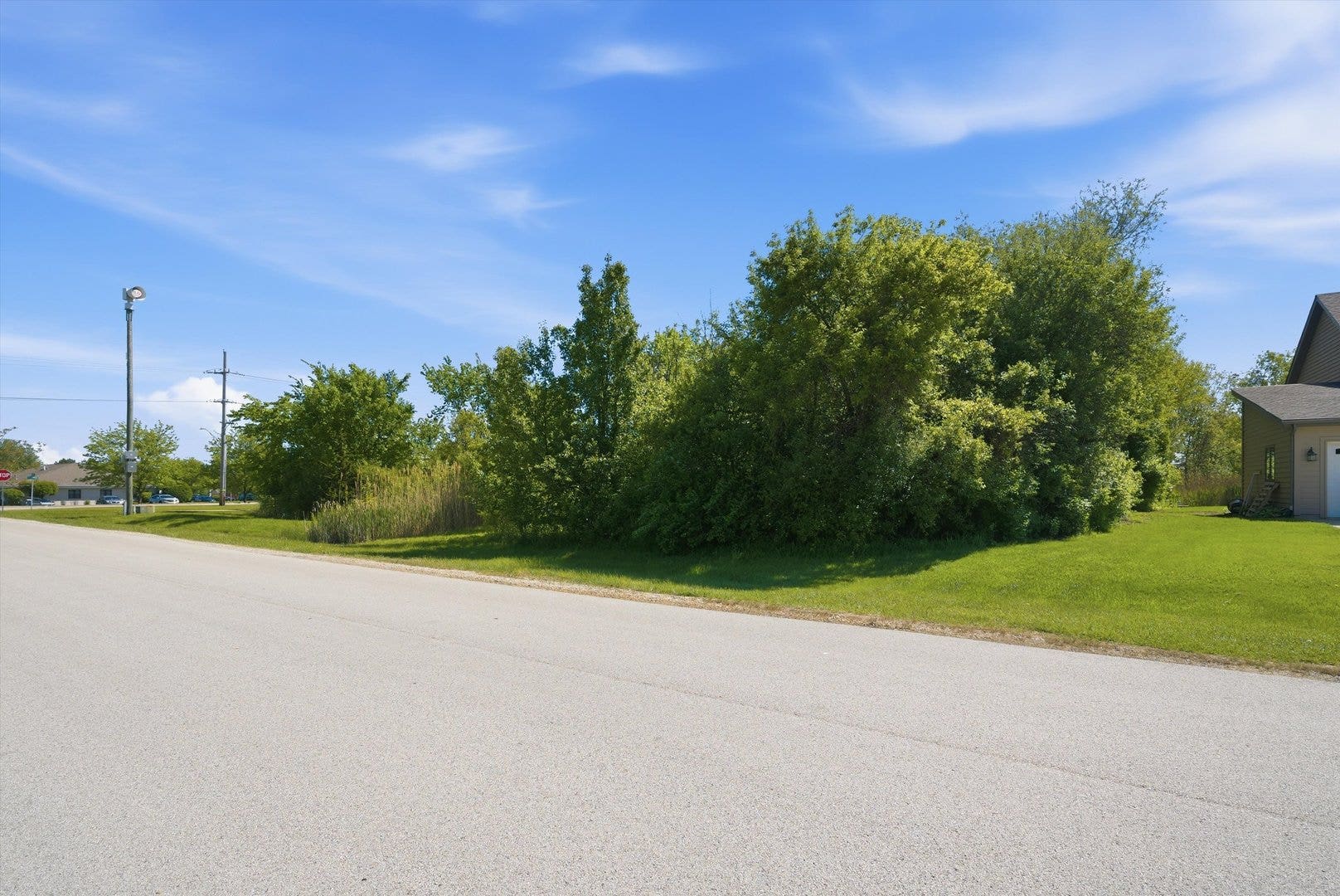 1201 Leinster Drive, Lemont, IL 60439