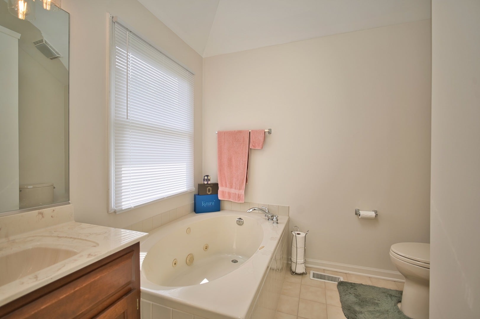 114 Rhine Avenue, Bolingbrook, IL 60490 114 Rhine Avenue, Bolingbrook, IL 60490