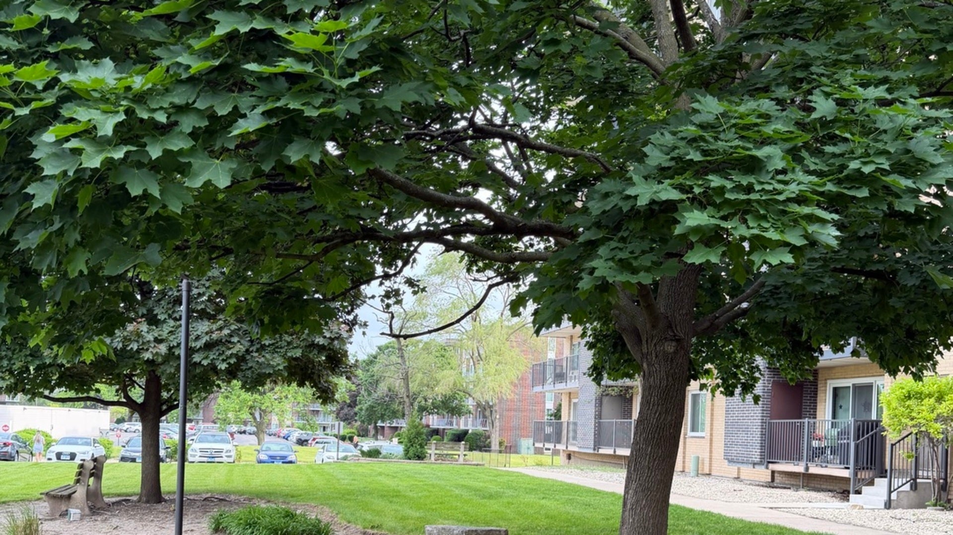 5400 Walnut Avenue, #803, Downers Grove, IL 60515