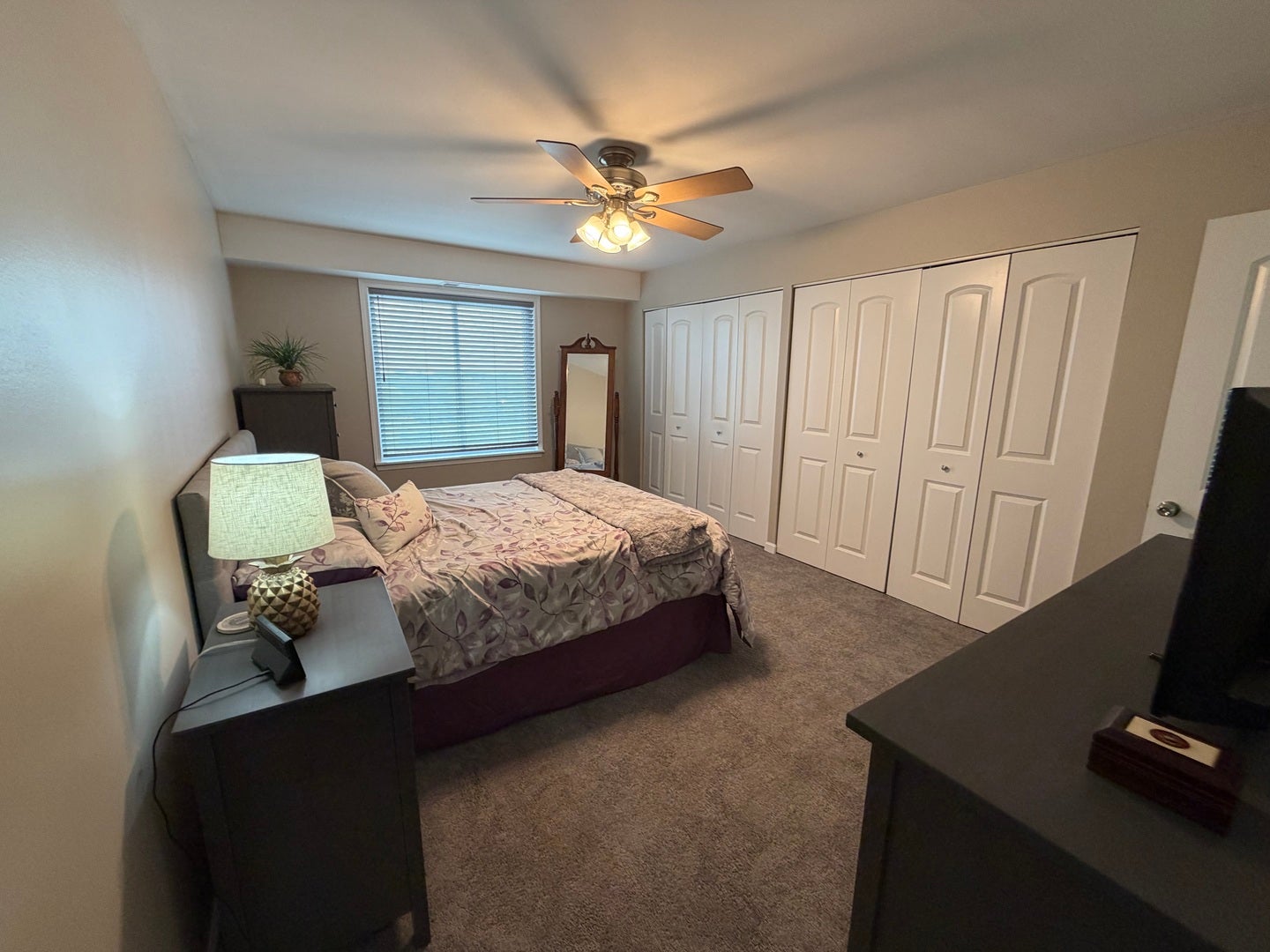 5400 Walnut Avenue, #803, Downers Grove, IL 60515
