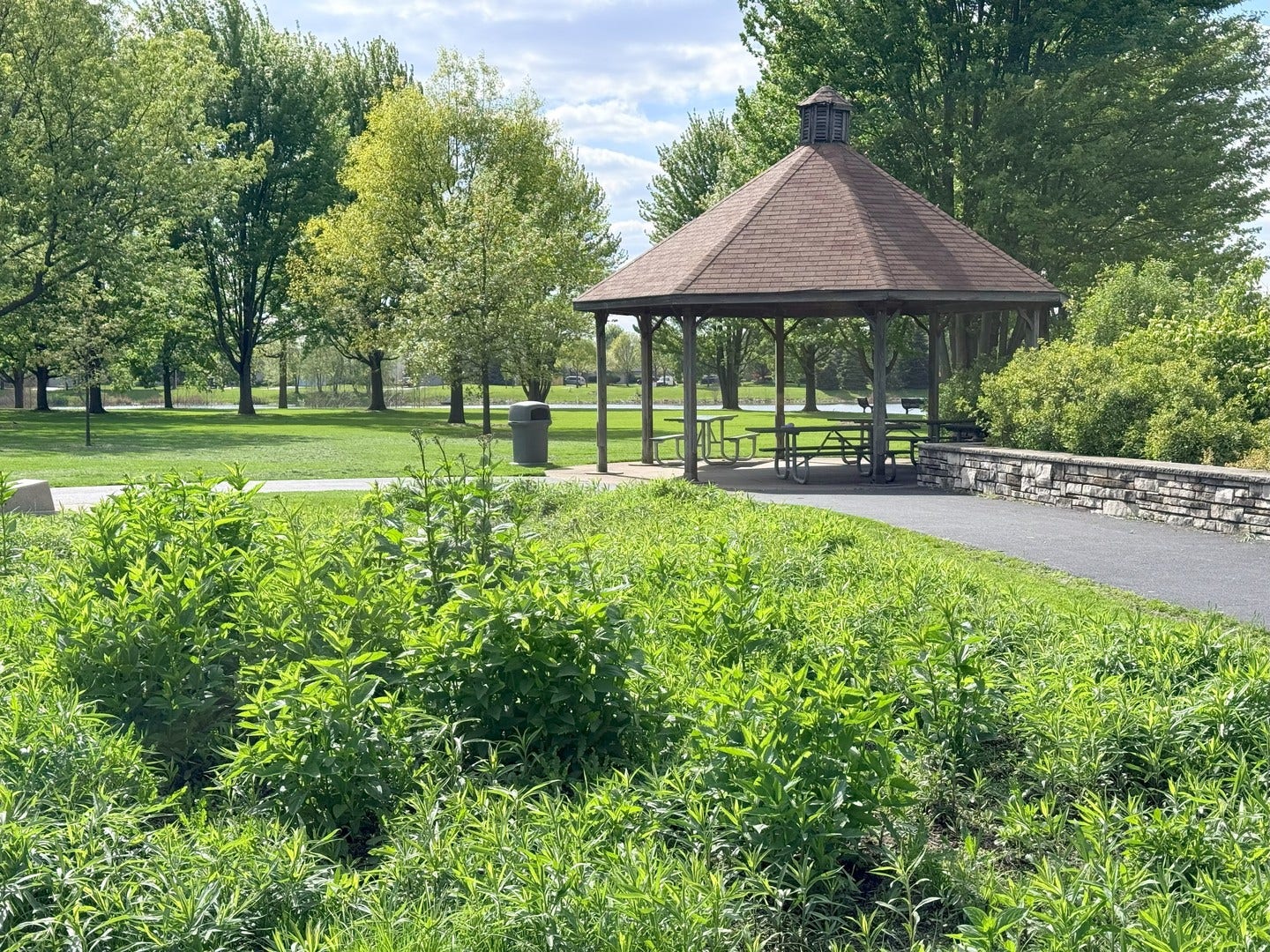 Park Gazebo