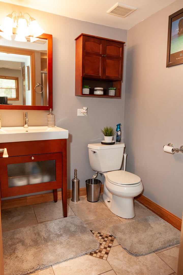 12320 Tim Tam Court, Orland Park, IL 60467 12320 Tim Tam Court, Orland Park, IL 60467