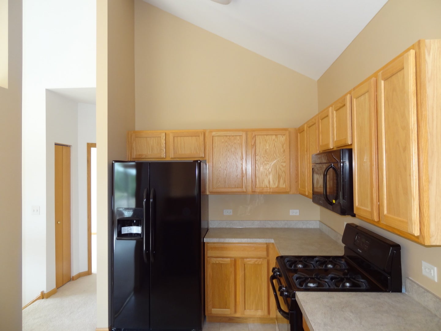 131 Enclave Circle, #C, Bolingbrook, IL 60440 131 Enclave Circle, #C, Bolingbrook, IL 60440