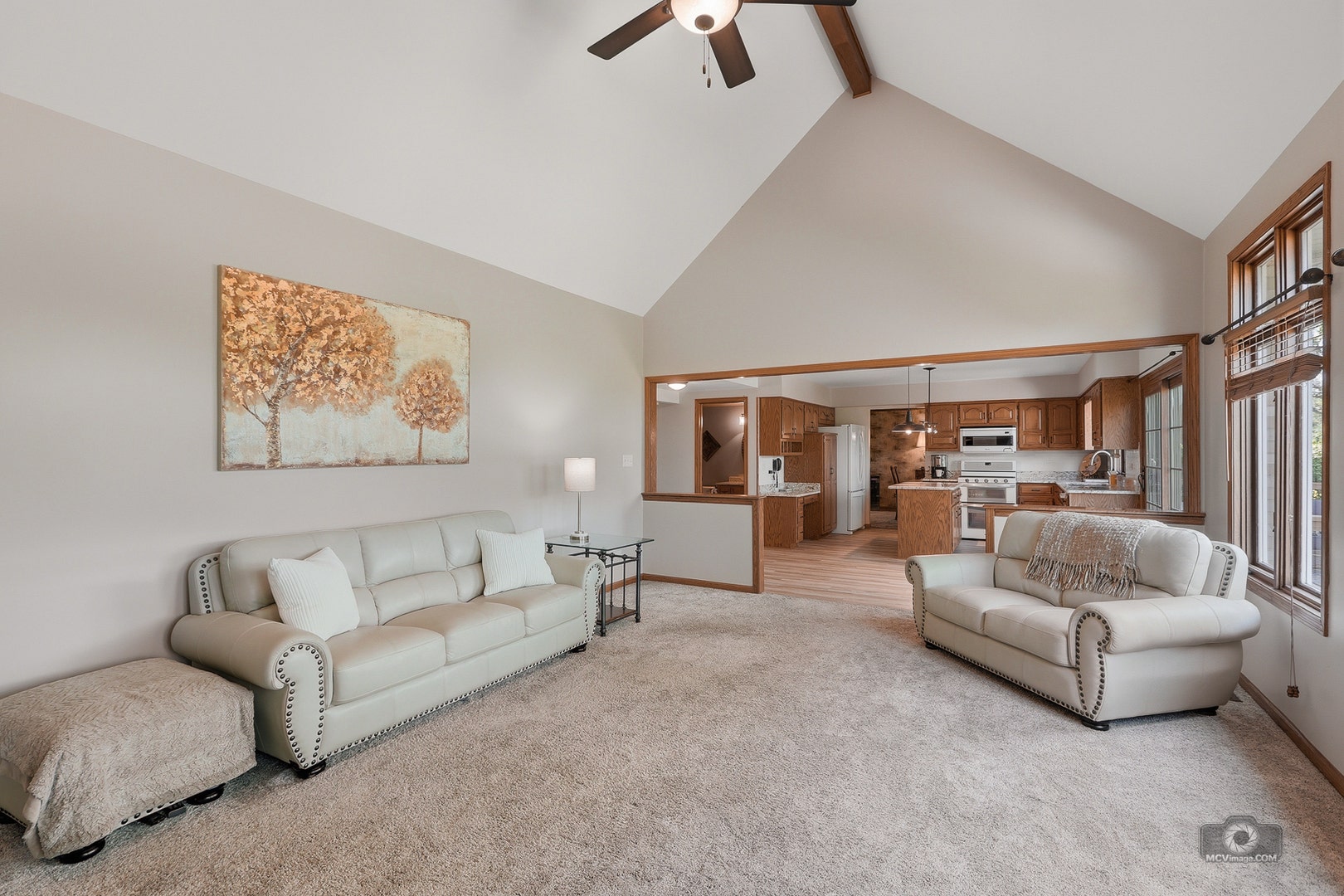 1206 Arbor Drive, Lemont, IL 60439 1206 Arbor Drive, Lemont, IL 60439