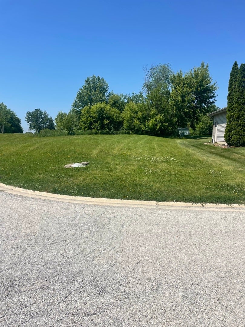 Property photo for 321 Pine Street, Beecher, IL