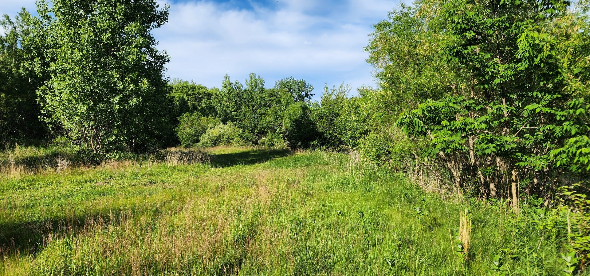 574 Caleb Road, Braidwood, IL 60408 574 Caleb Road, Braidwood, IL 60408