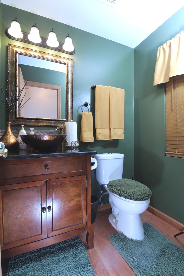 1496 Calendula Court, Romeoville, IL 60446 Main Floor