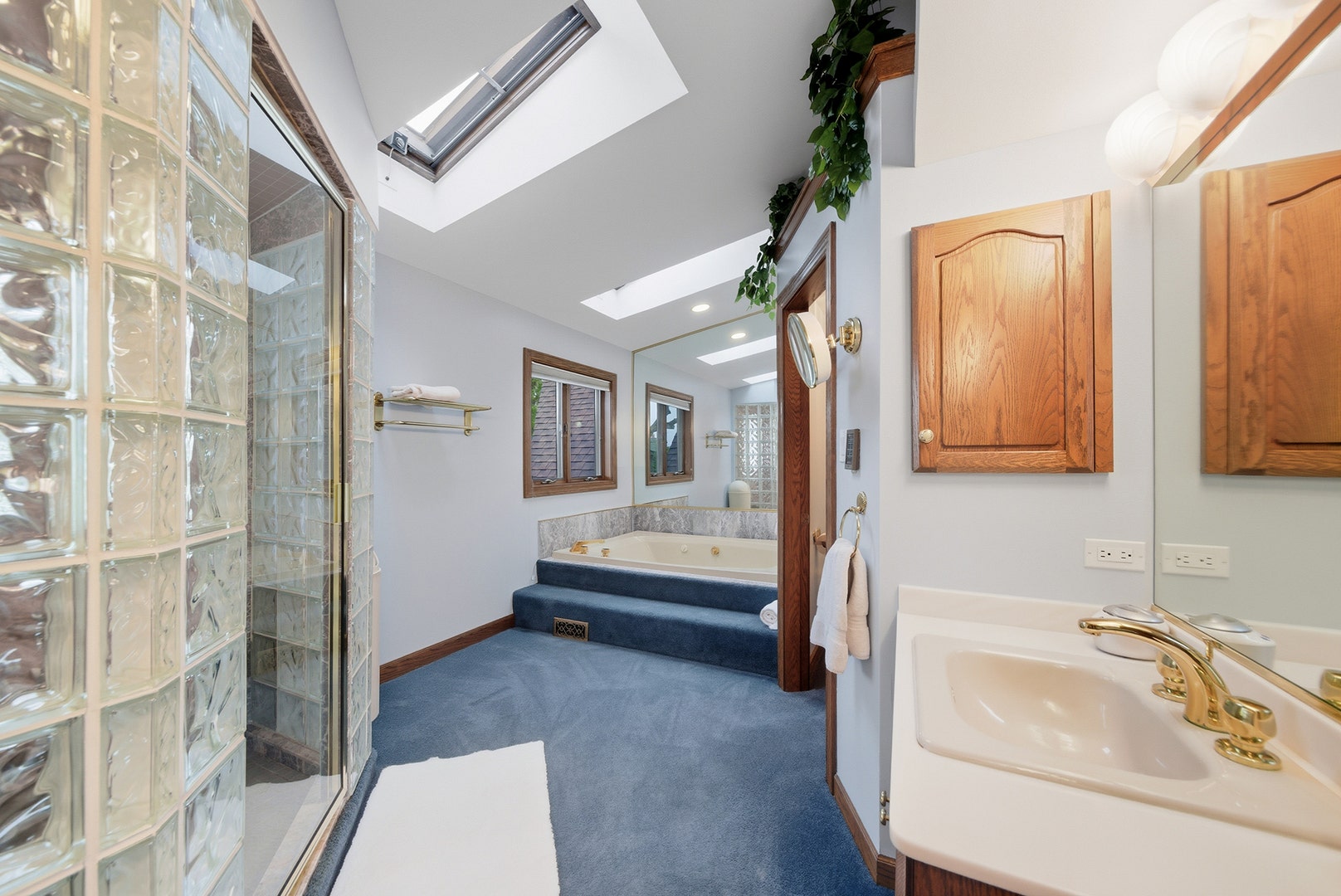 607 Berkshire Court, Downers Grove, IL 60516