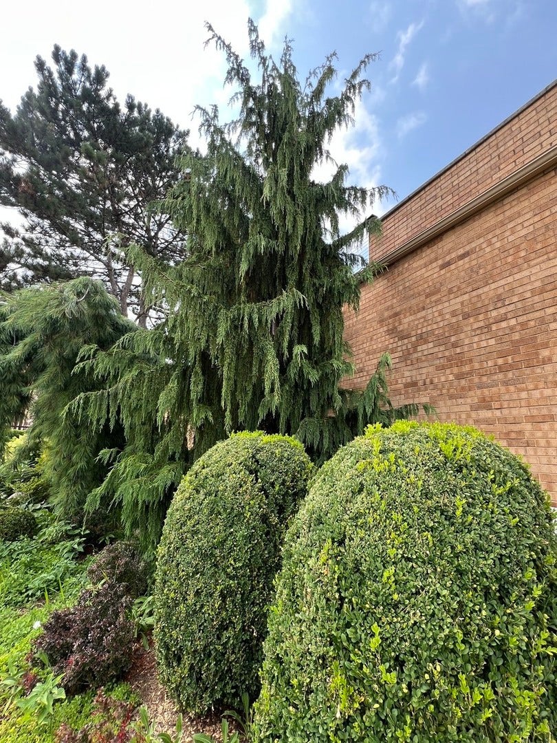 607 Berkshire Court, Downers Grove, IL 60516