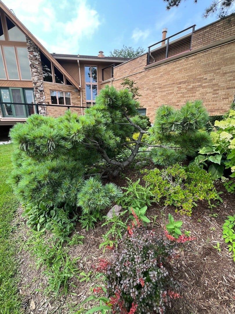 607 Berkshire Court, Downers Grove, IL 60516