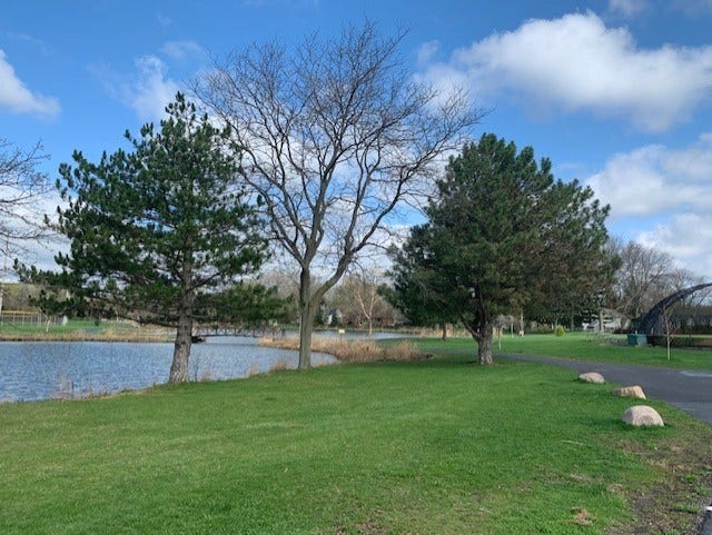 Walking paths at the park