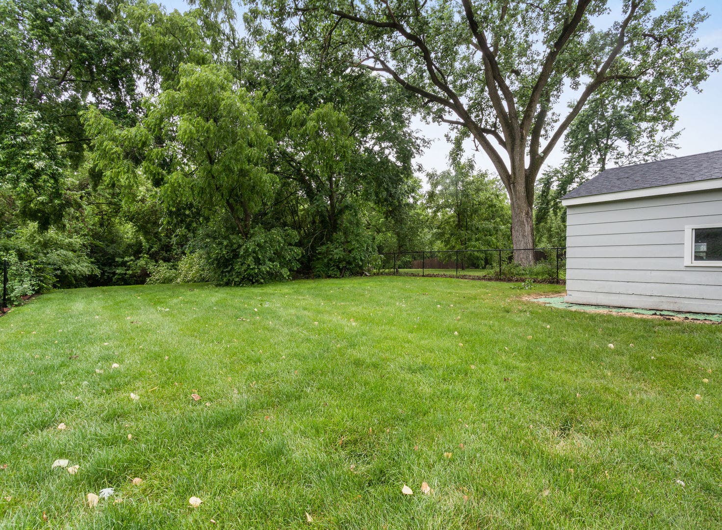 Deep backyard with tons of space