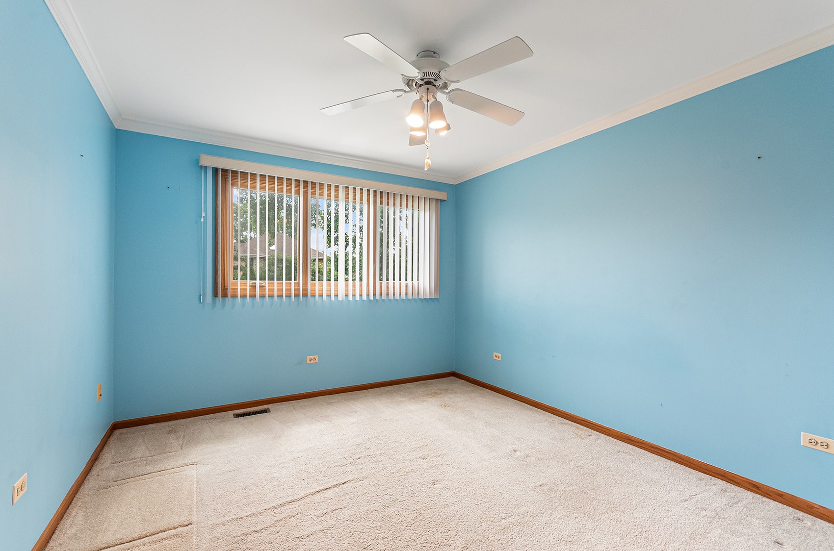 891 Young Street, Lemont, IL 60439 891 Young Street, Lemont, IL 60439