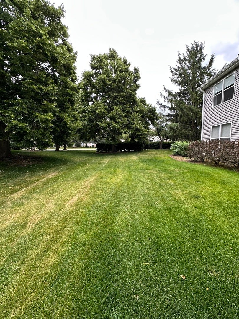 1346 Brunswick Court, Elgin, IL 60120 1346 Brunswick Court, Elgin, IL 60120