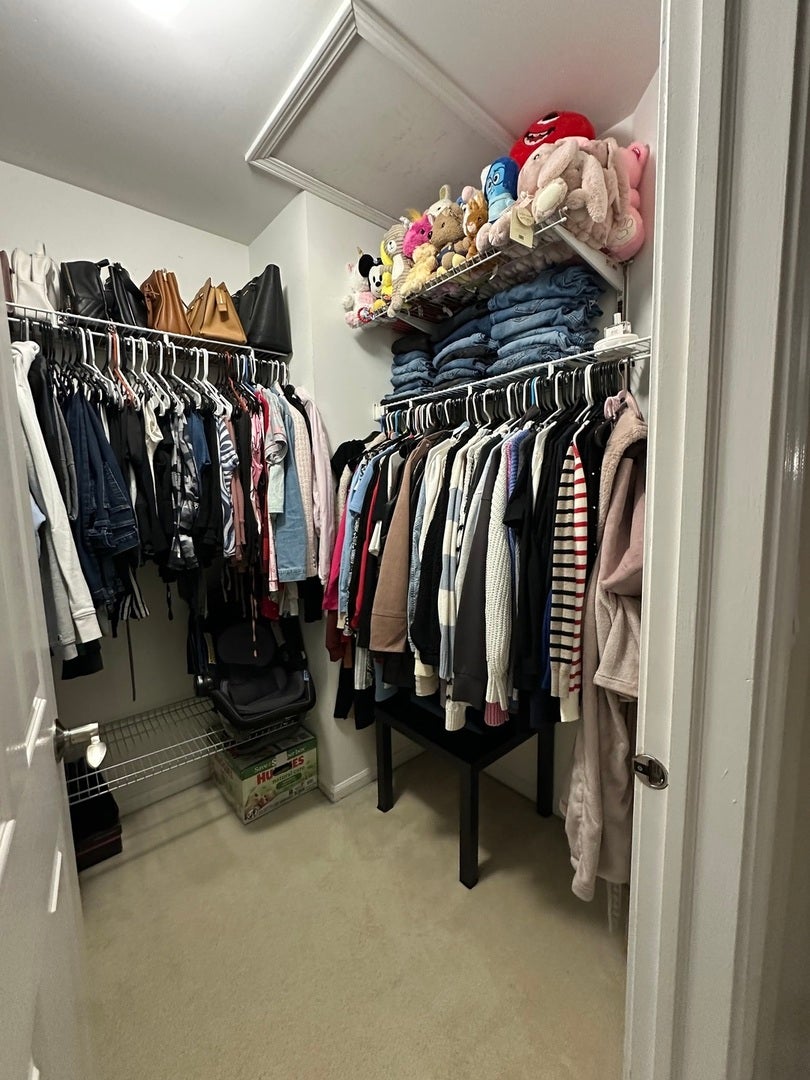 1346 Brunswick Court, Elgin, IL 60120 Master Walk in closet