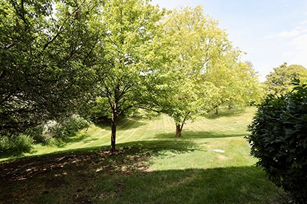 12936 W 159th Street, #1D, Homer Glen, IL 60491