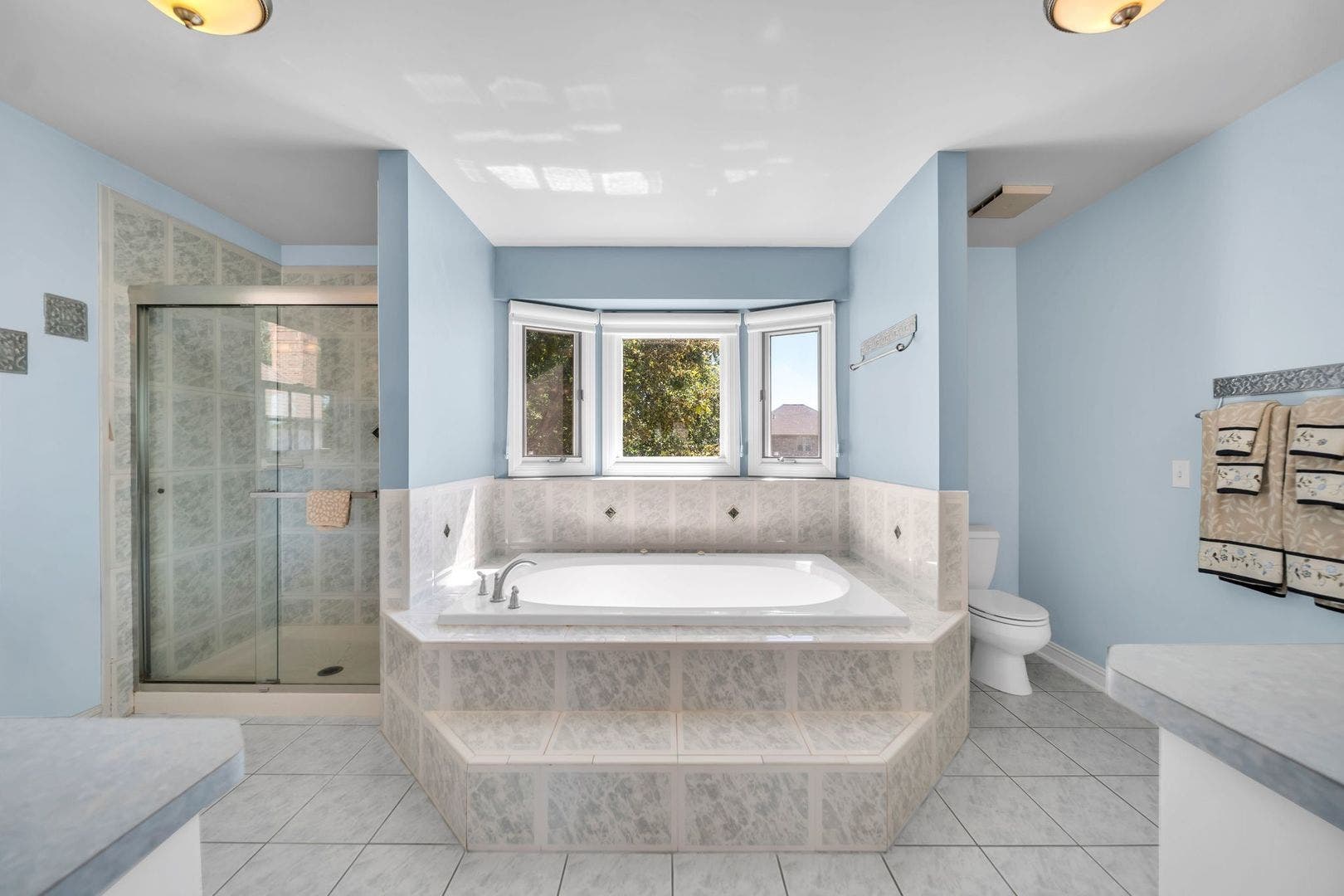 1233 Eagle Crest Drive, Lemont, IL 60439 1233 Eagle Crest Drive, Lemont, IL 60439