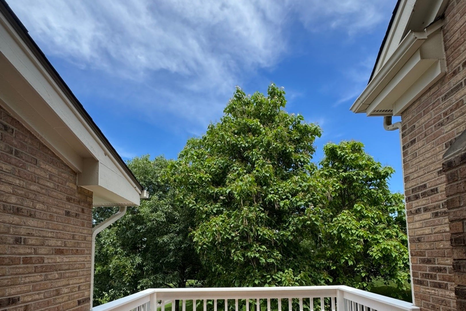 14410 Crystal Tree Drive, Orland Park, IL 60462 14410 Crystal Tree Drive, Orland Park, IL 60462