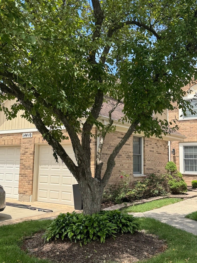 14410 Crystal Tree Drive, Orland Park, IL 60462 14410 Crystal Tree Drive, Orland Park, IL 60462