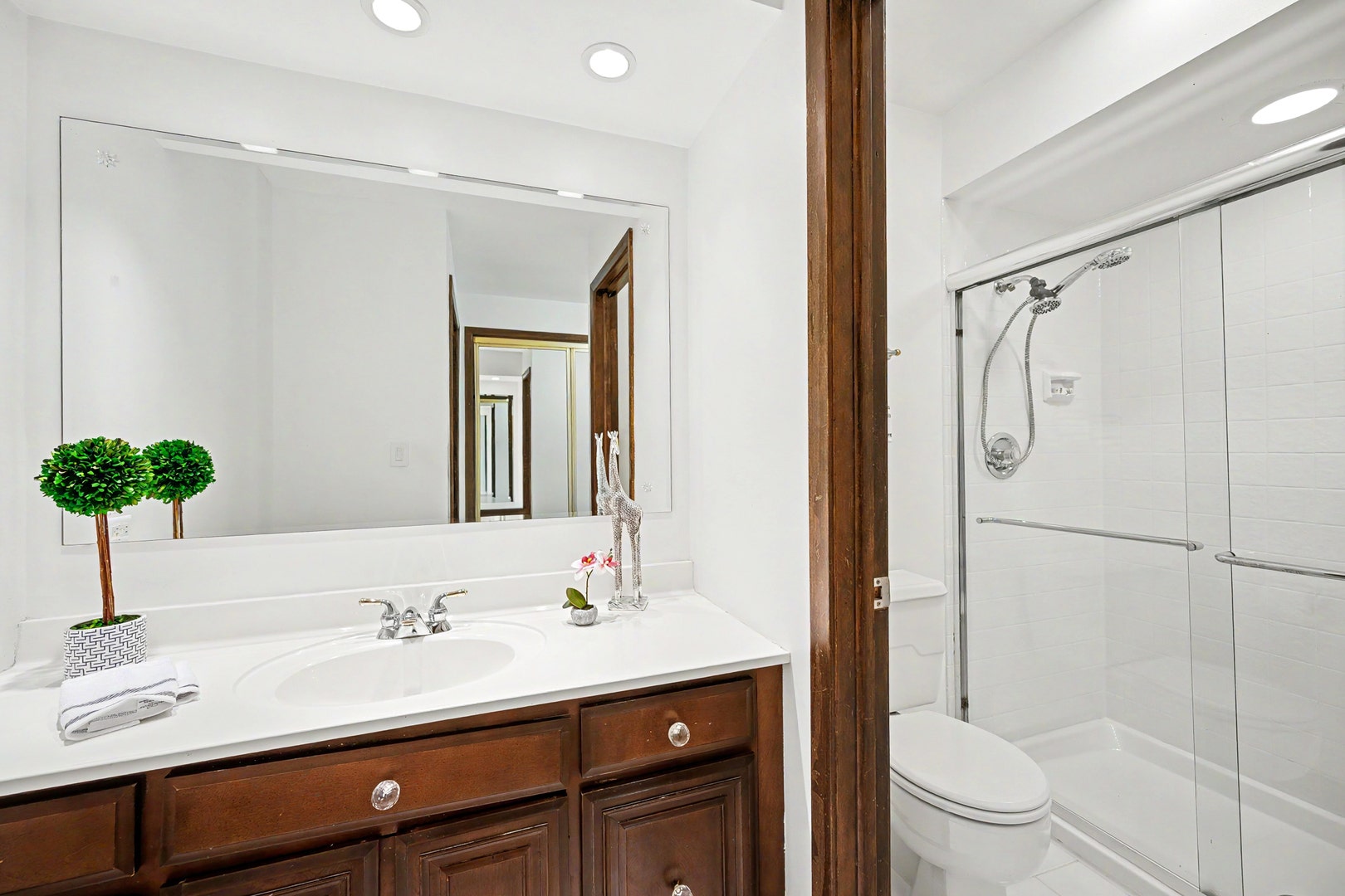 1549 Snowberry Court, Downers Grove, IL 60515 1549 Snowberry Court, Downers Grove, IL 60515