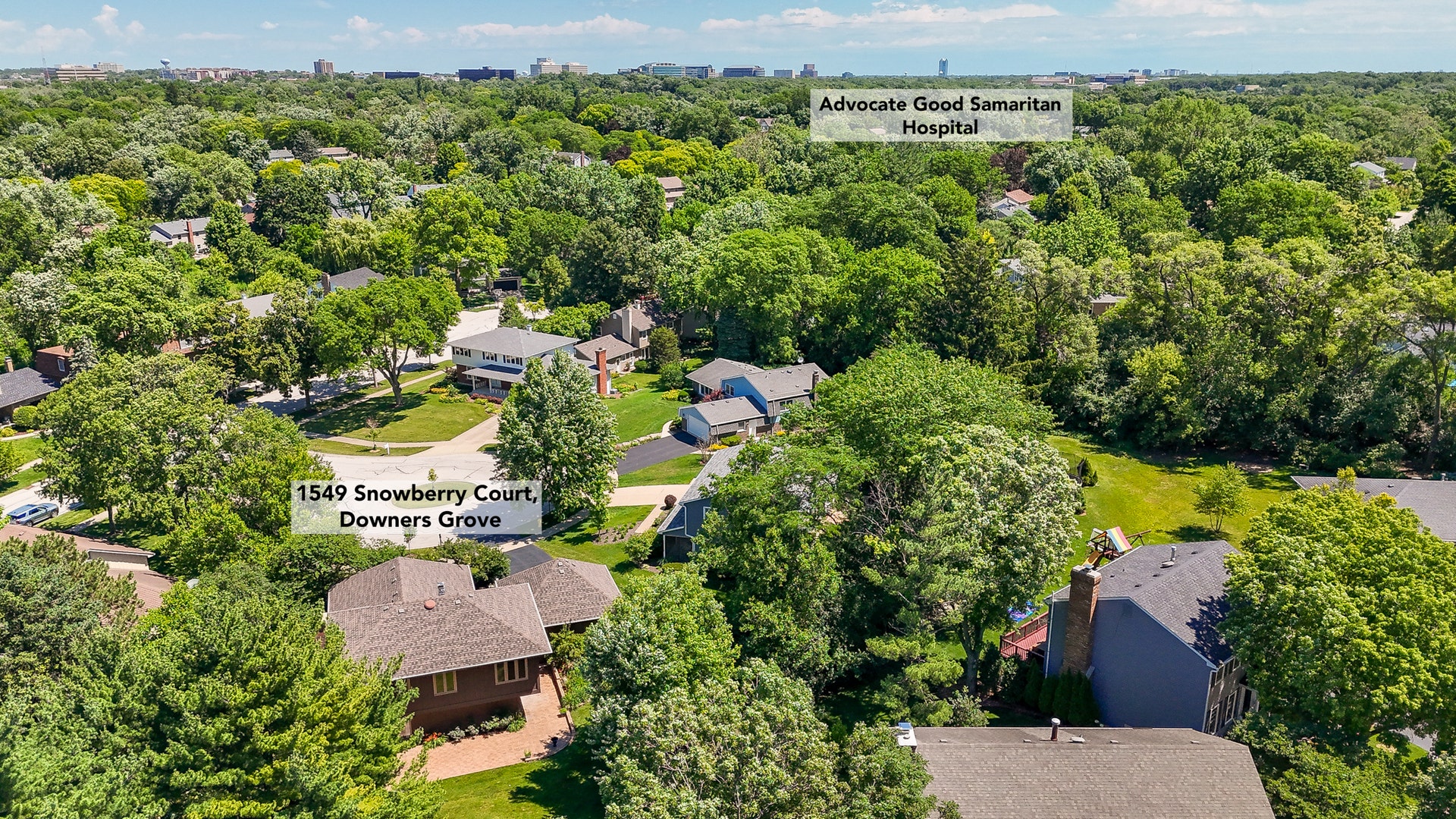 1549 Snowberry Court, Downers Grove, IL 60515 1549 Snowberry Court, Downers Grove, IL 60515