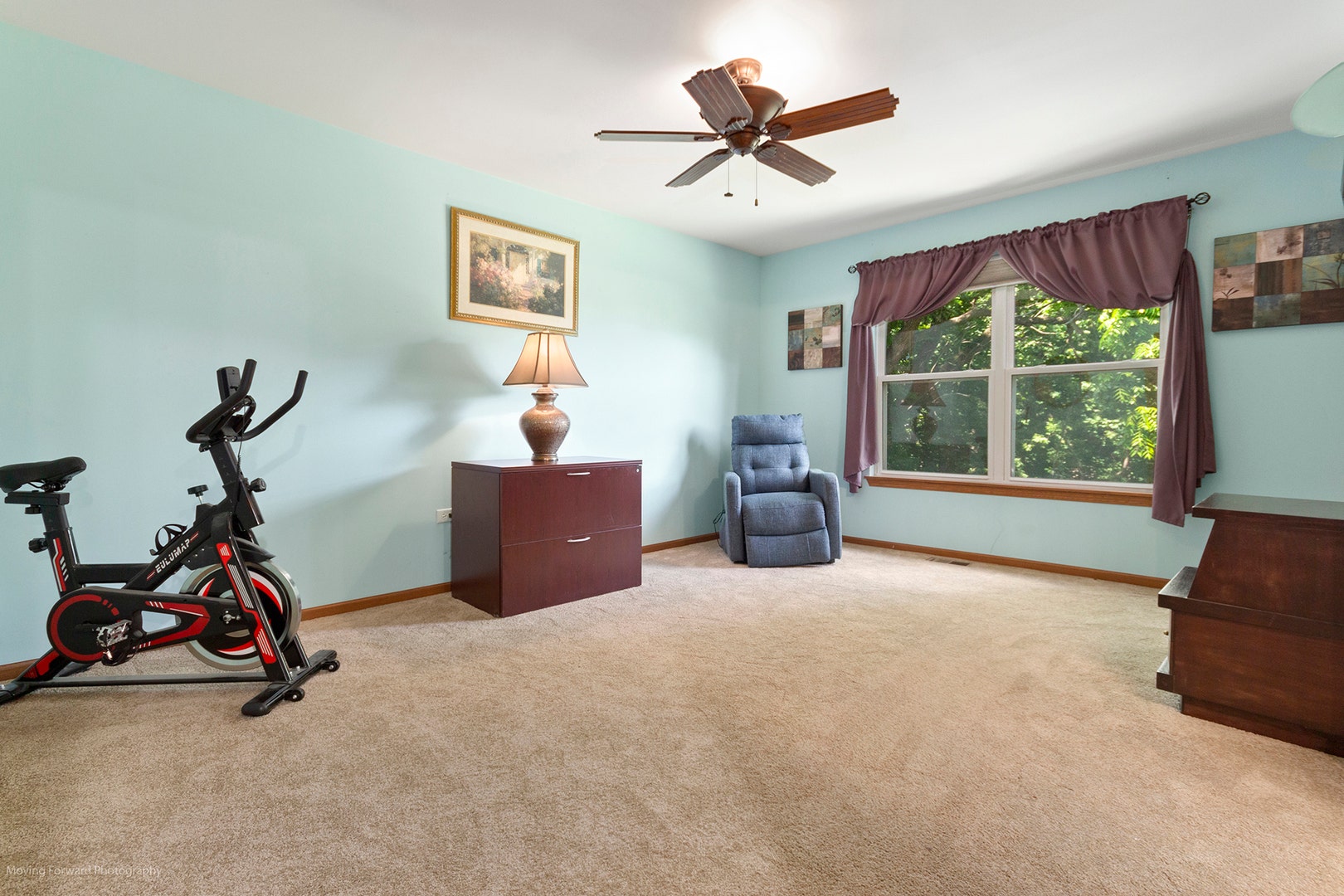 784 Lindsey Lane, Bolingbrook, IL 60440