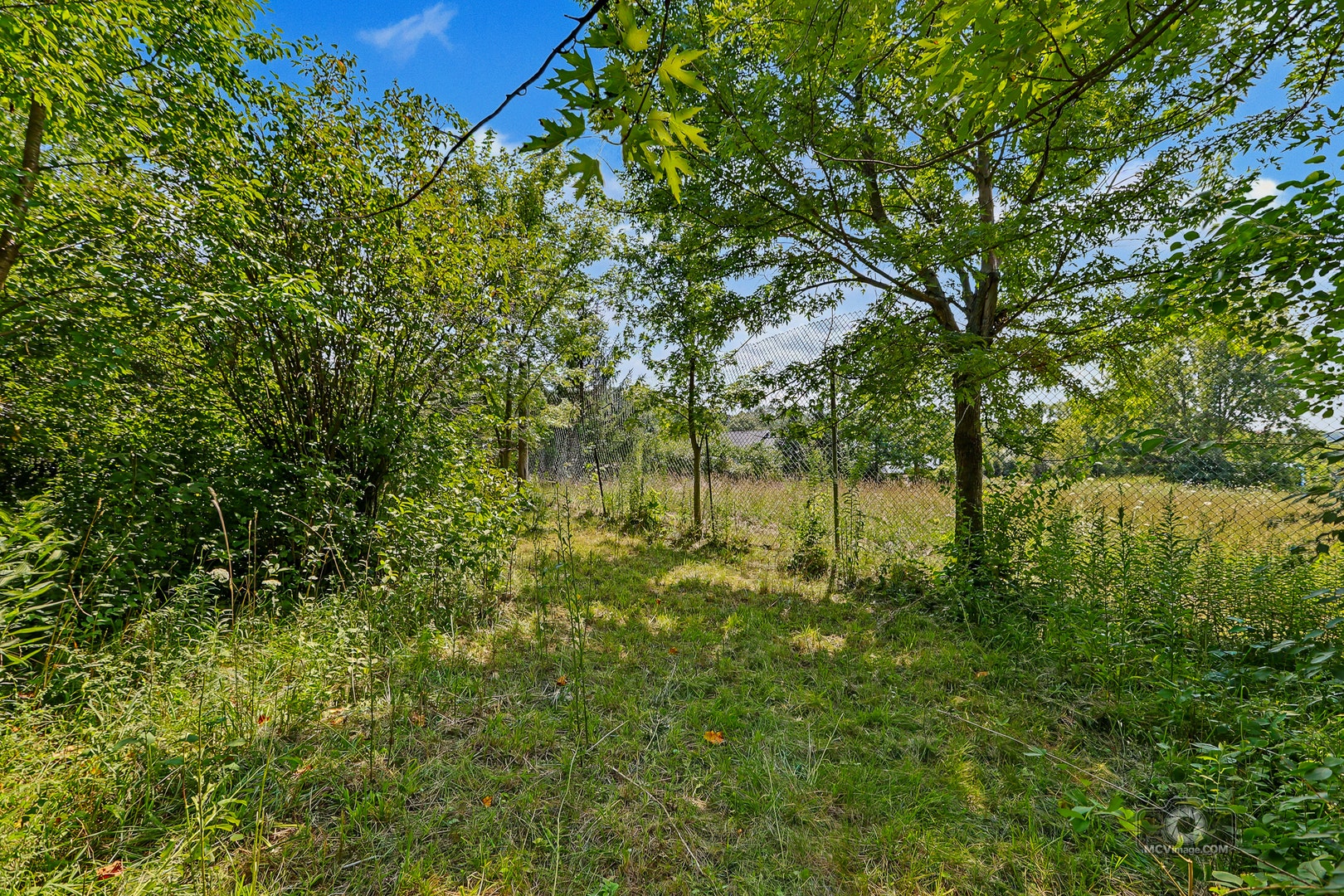 16624 S Parker Road, Homer Glen, IL 60491 Fenced run behind Poutry Coop
