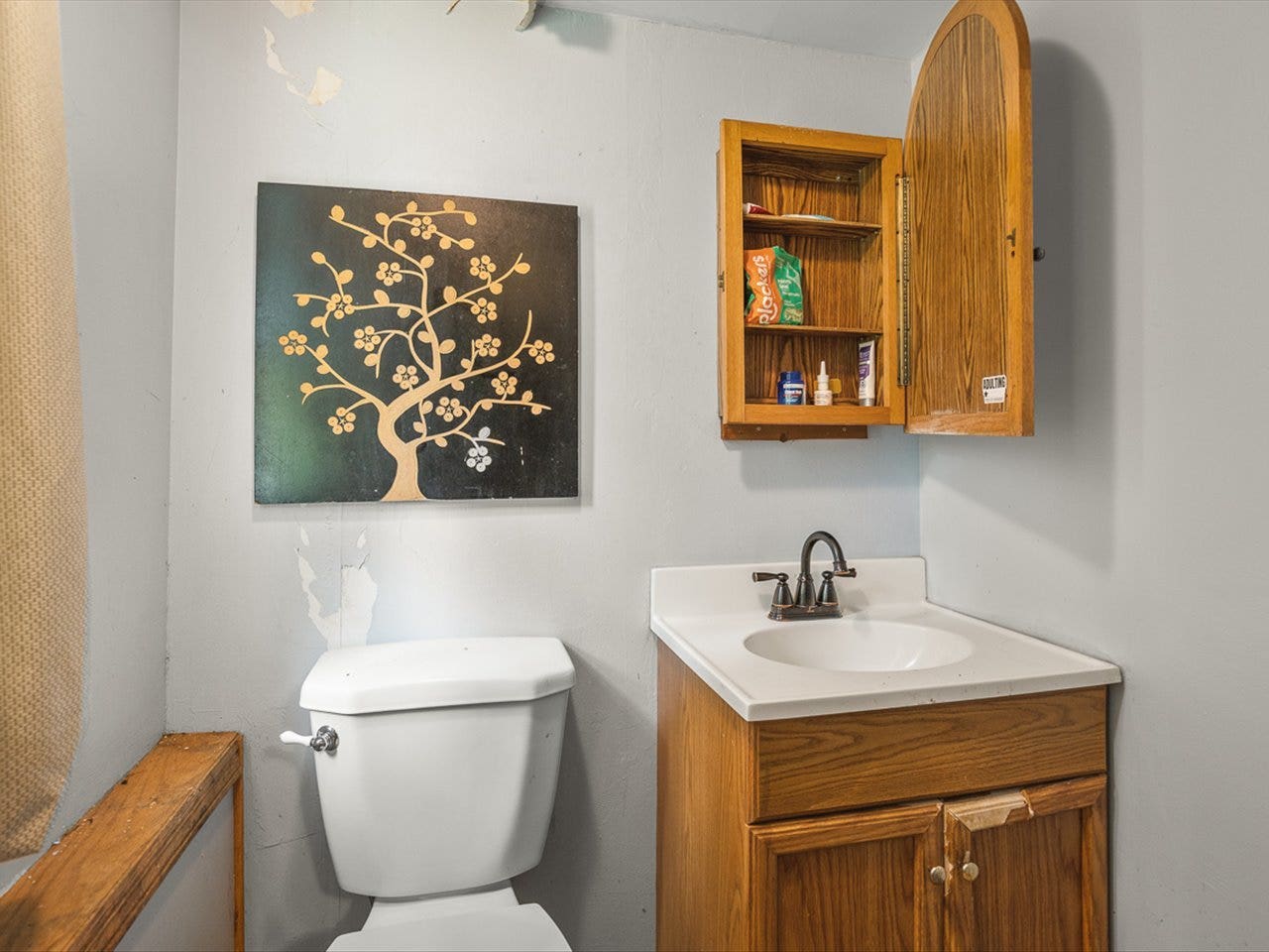 219 Walter Court, Elgin, IL 60123 219 Walter Court, Elgin, IL 60123