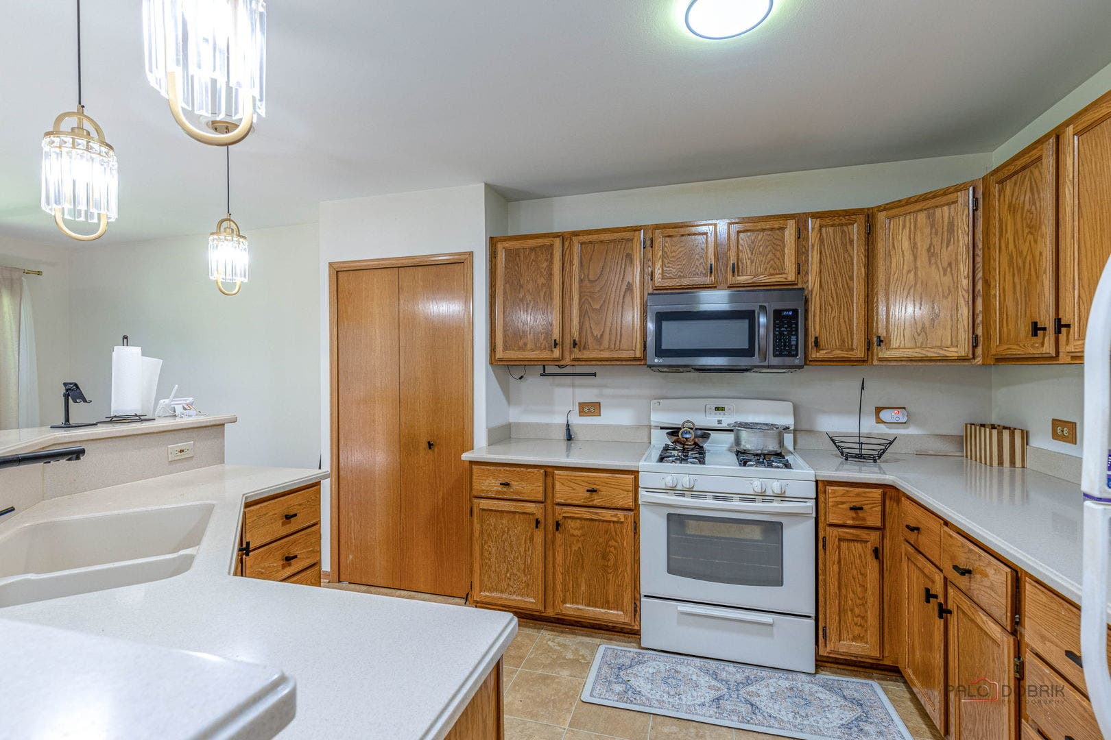 24 Garden Crescent Court, Elgin, IL 60123