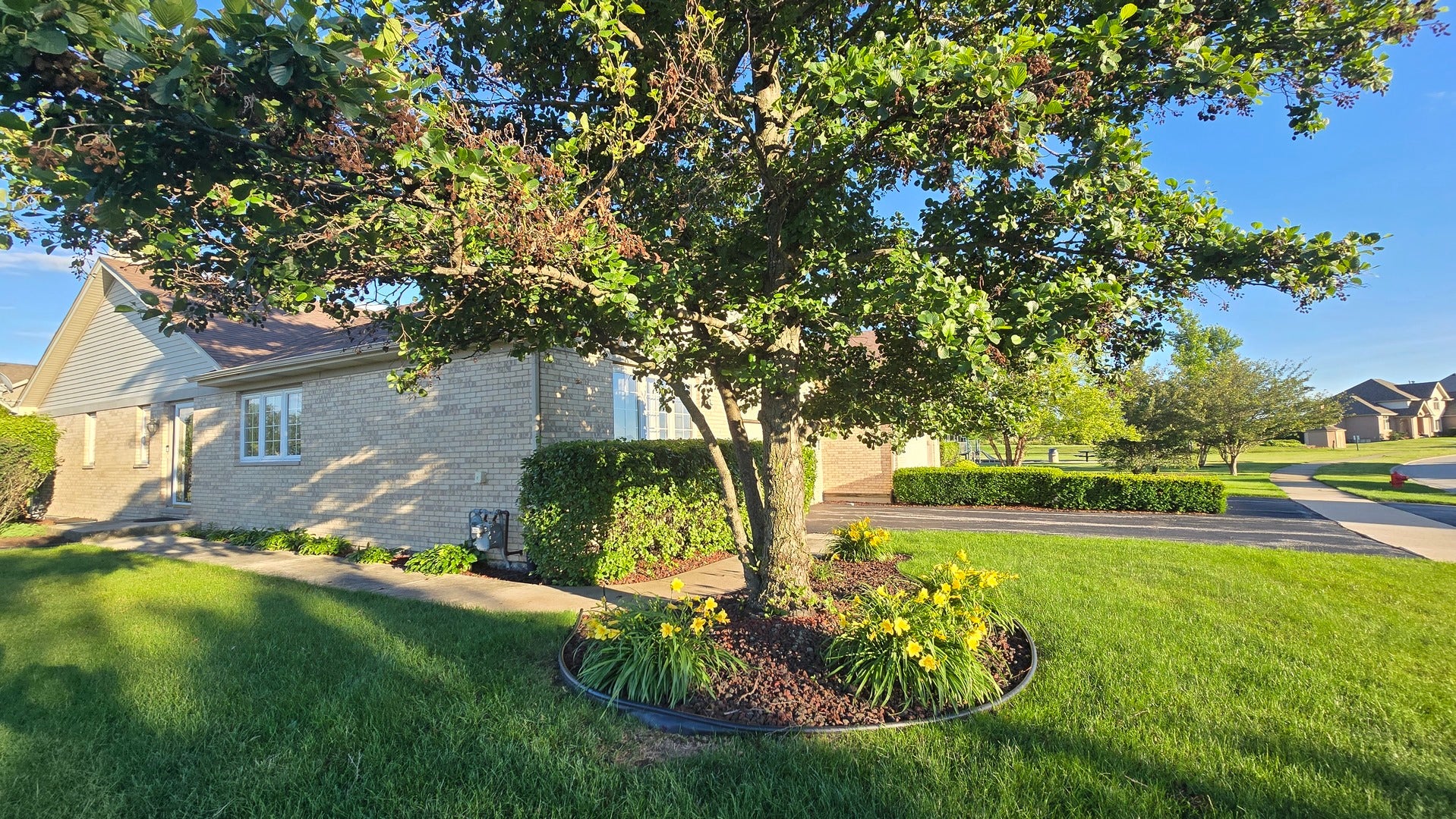 53 Odyssey Drive, Tinley Park, IL 60477 53 Odyssey Drive, Tinley Park, IL 60477