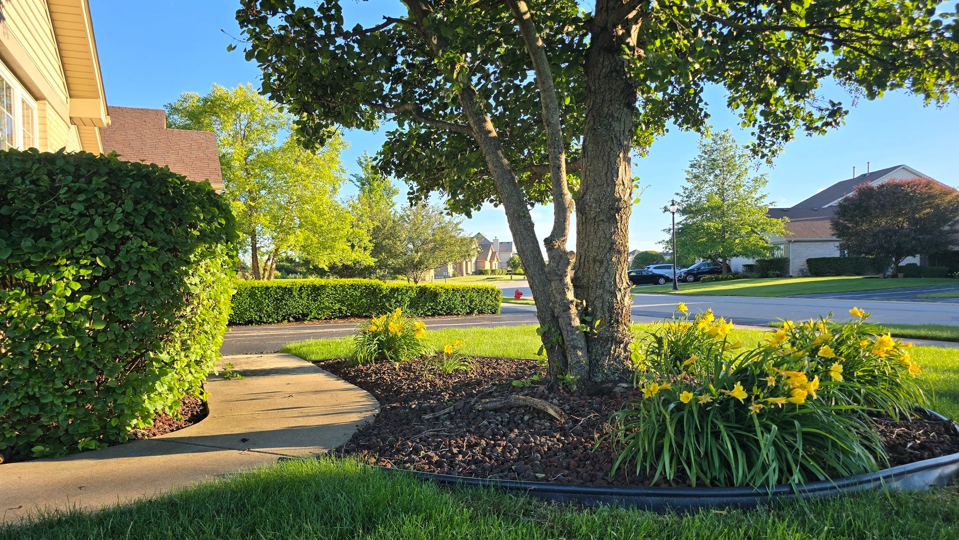 53 Odyssey Drive, Tinley Park, IL 60477 53 Odyssey Drive, Tinley Park, IL 60477