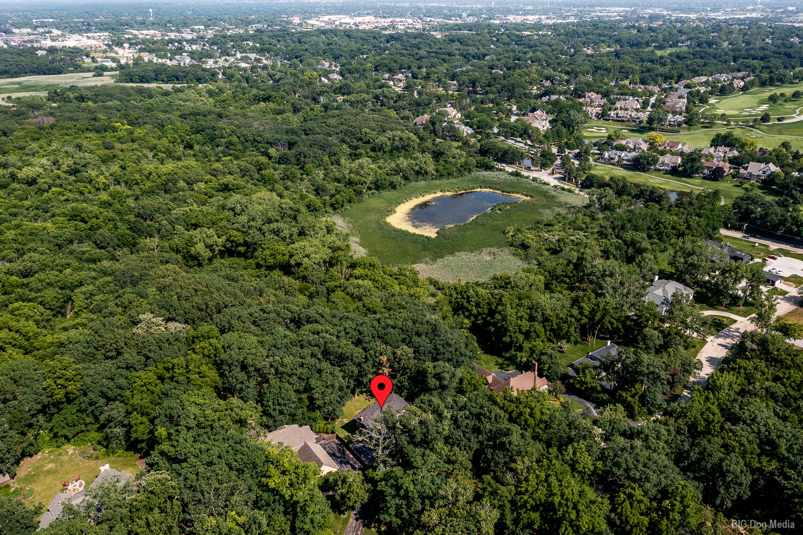 12 Old Tamarack Lane, Orland Park, IL 60462 12 Old Tamarack Lane, Orland Park, IL 60462