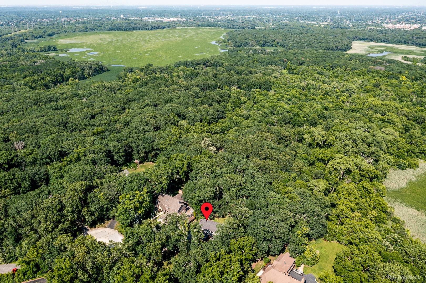 12 Old Tamarack Lane, Orland Park, IL 60462 12 Old Tamarack Lane, Orland Park, IL 60462