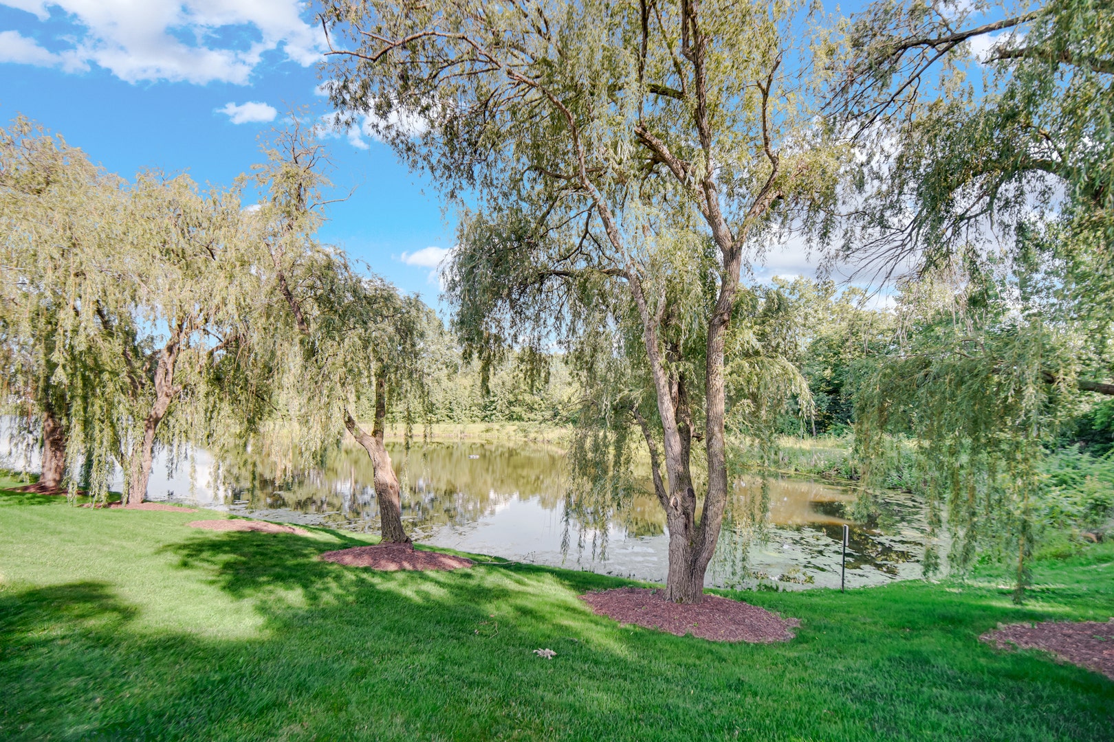 21459 Brittany Drive, Frankfort, IL 60423 21459 Brittany Drive, Frankfort, IL 60423