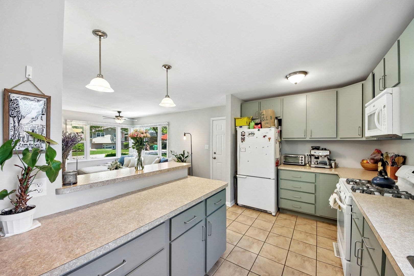 16841 Willow Lane Drive, Tinley Park, IL 60477 16841 Willow Lane Drive, Tinley Park, IL 60477