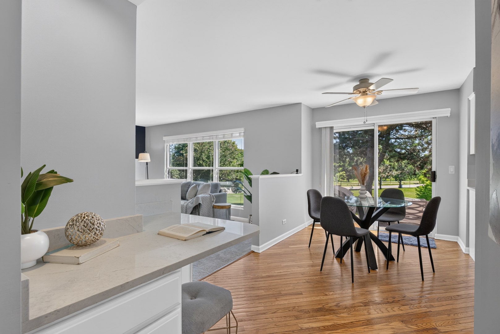 12 Foxglove Court, Bolingbrook, IL 60440 12 Foxglove Court, Bolingbrook, IL 60440