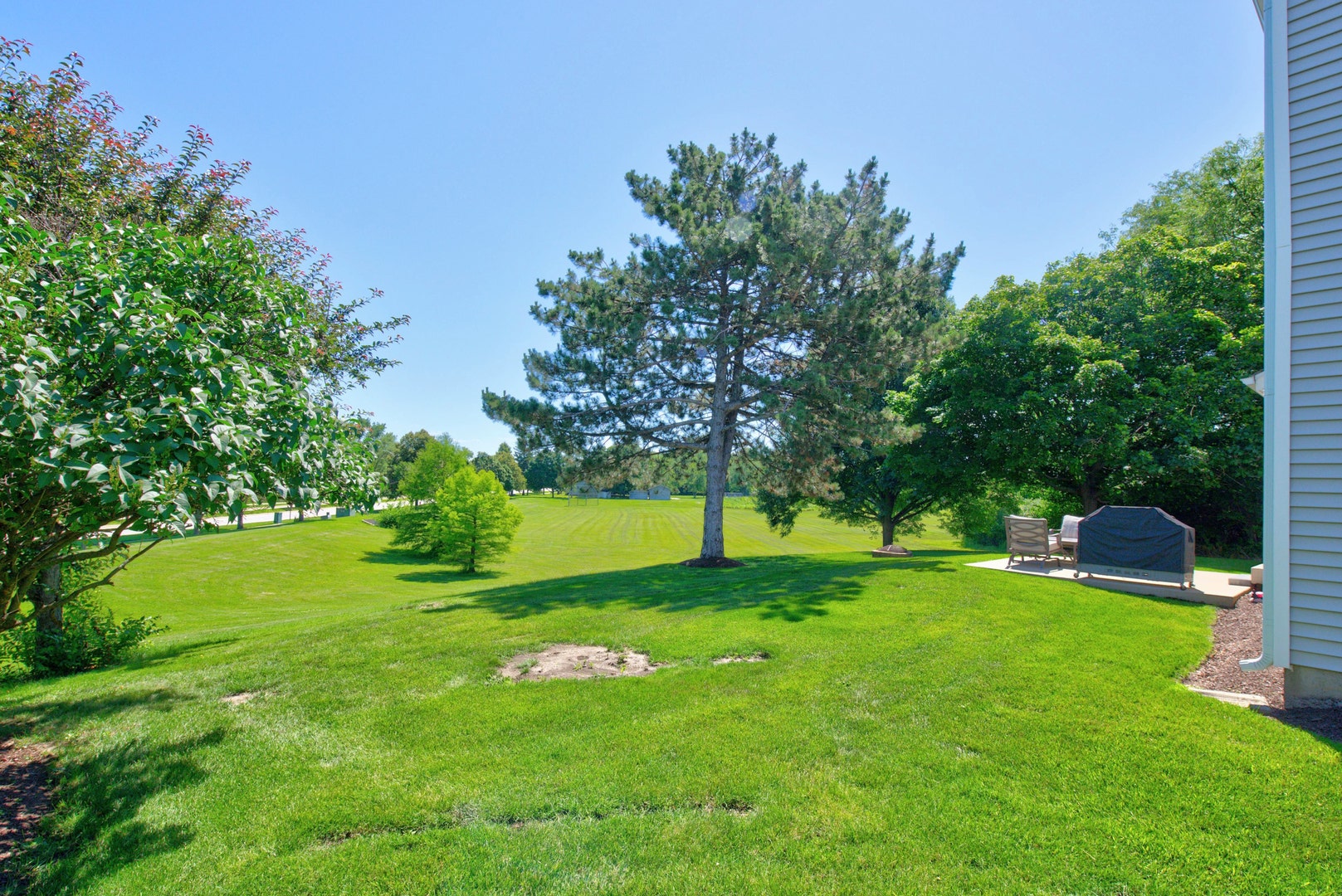 12 Foxglove Court, Bolingbrook, IL 60440 12 Foxglove Court, Bolingbrook, IL 60440