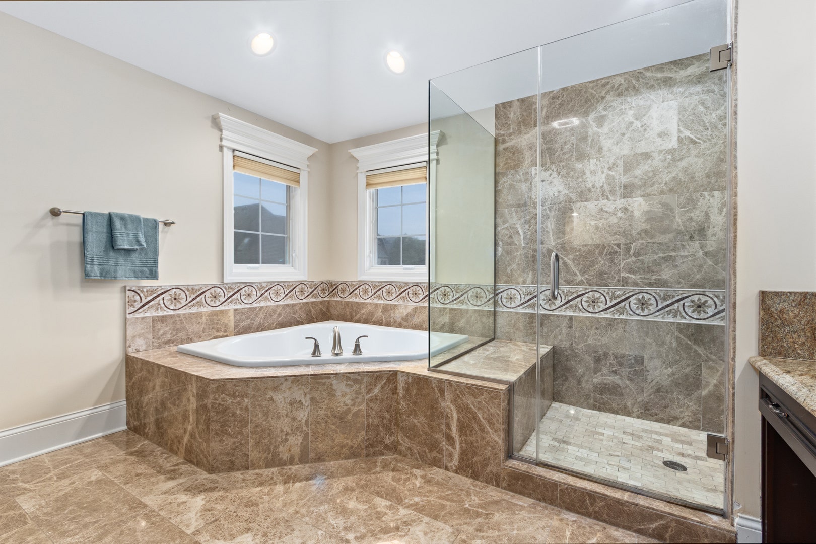 1736 Brian Grant Court, Downers Grove, IL 60516