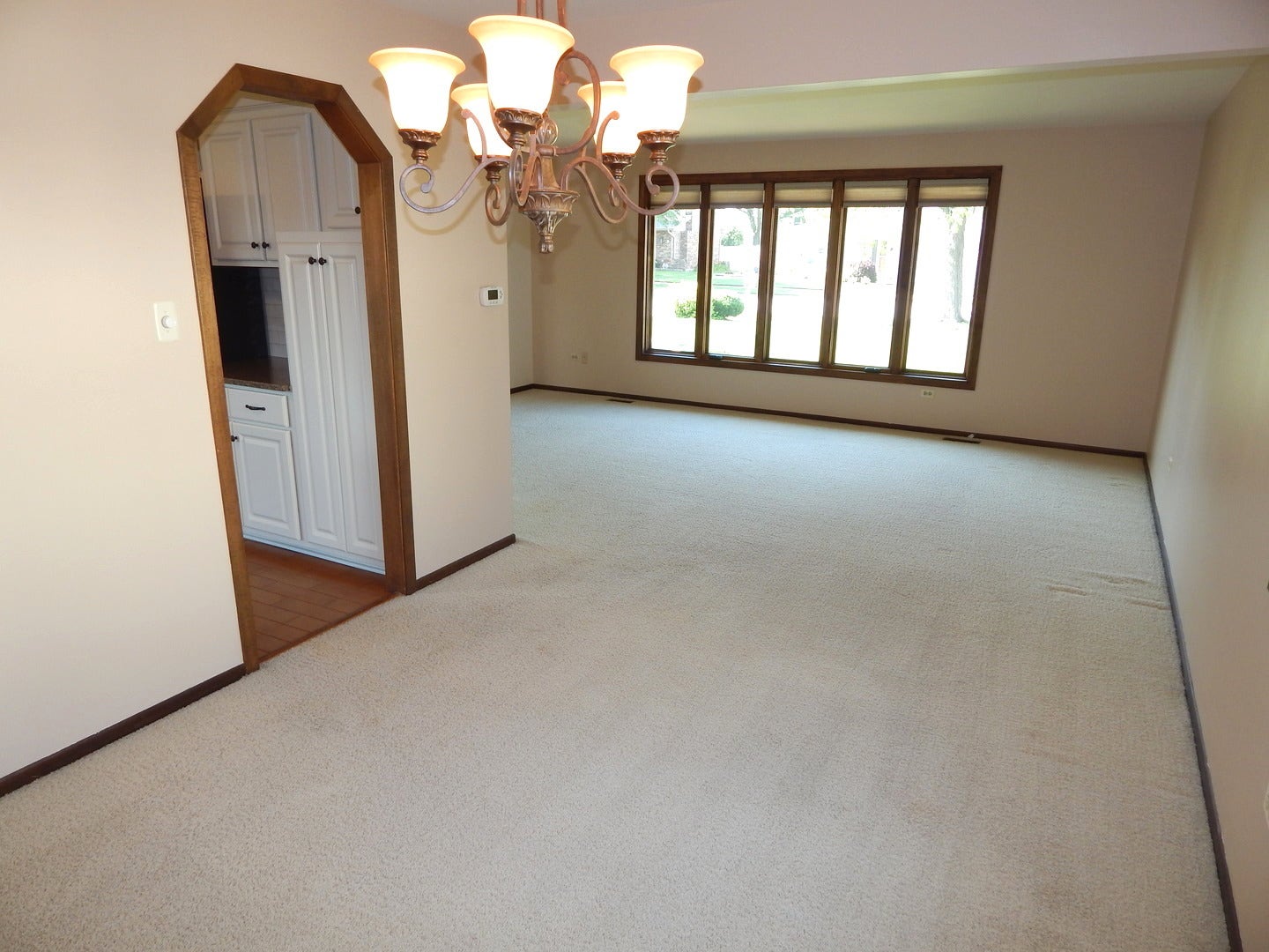 8101 Braeburn Lane, Orland Park, IL 60462