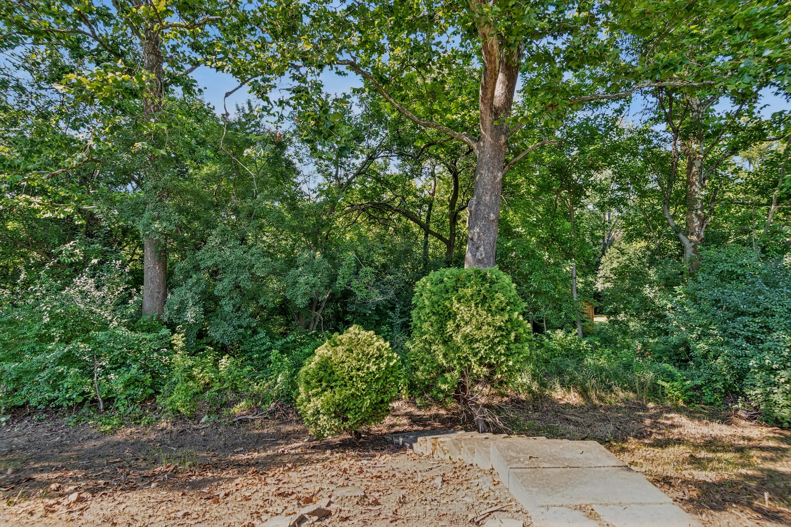 1124 59th Street, Downers Grove, IL 60516