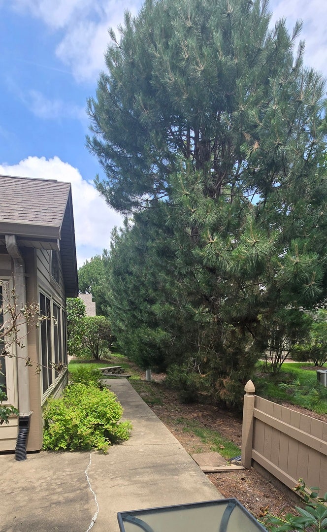 1988 Timberview Drive, Joliet, IL 60431
