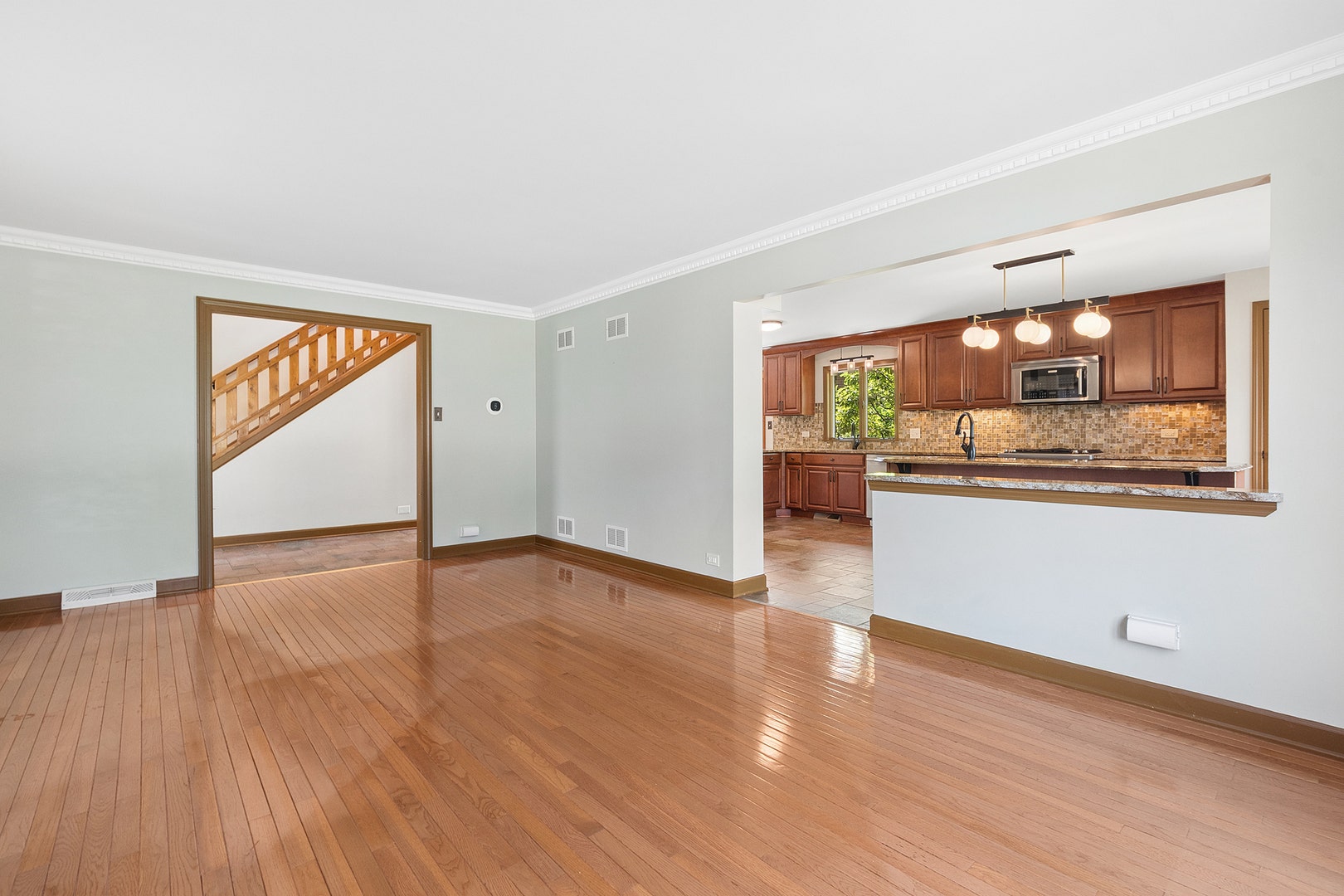 13813 W Dublin Drive, Homer Glen, IL 60491