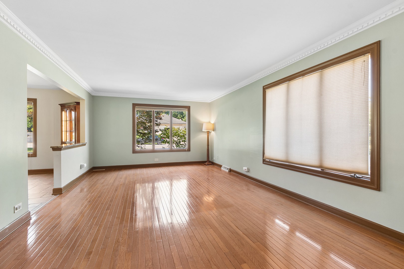 13813 W Dublin Drive, Homer Glen, IL 60491