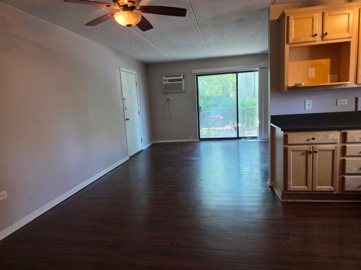 724 Warren Avenue, #101, Downers Grove, IL 60515
