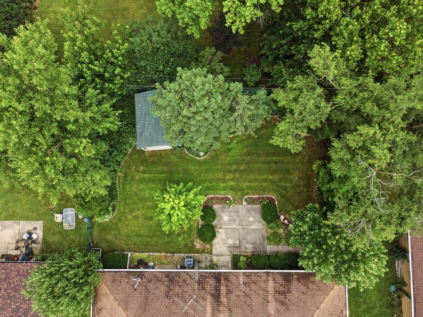 Aerial view of the backyard.