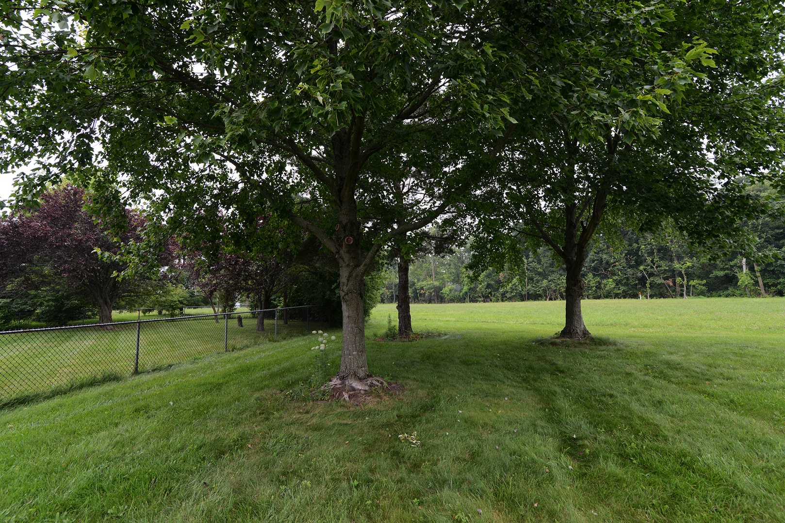 650 Lavina Court, Bolingbrook, IL 60440 650 Lavina Court, Bolingbrook, IL 60440